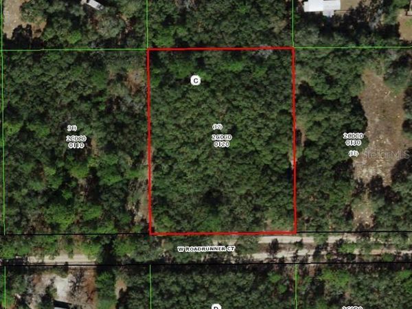 4385 W ROADRUNNER COURT , HOMOSASSA, FL 34446