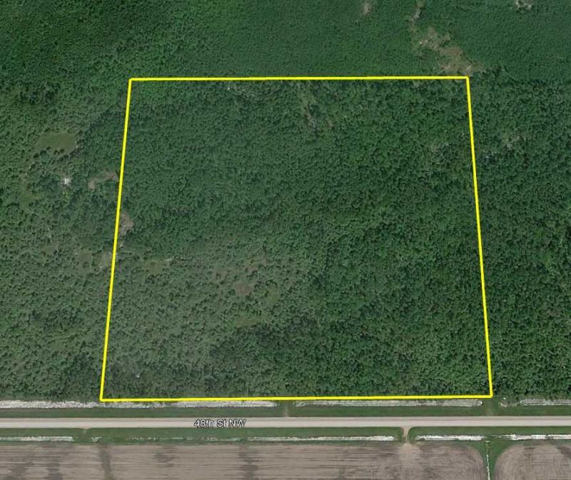 Tbd 48th Street Nw, Williams, MN 56686 Main Photo
