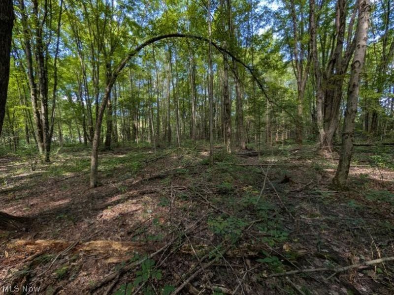 Drake Stateline Road NE, Burghill, OH 44404 Photo 11