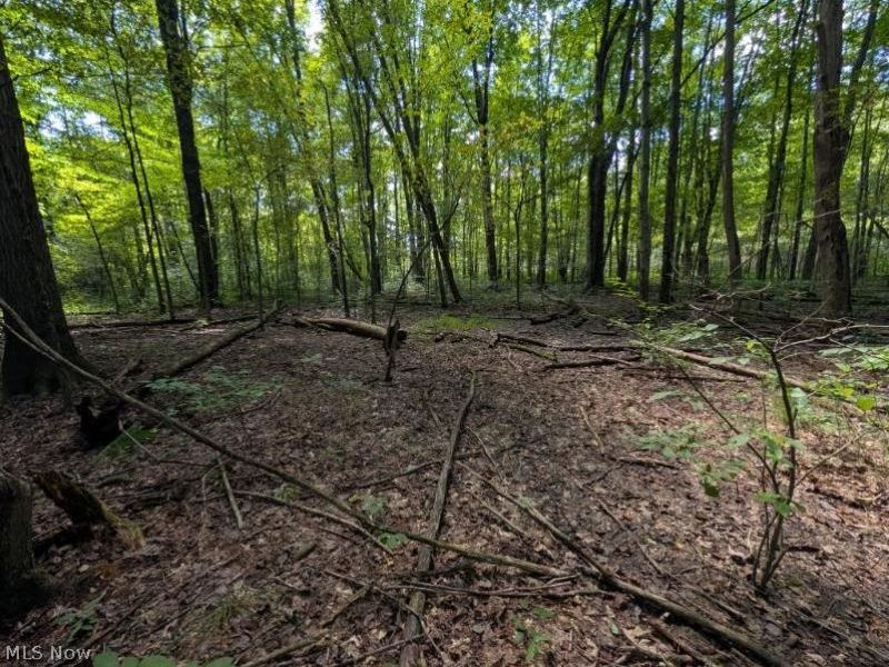 Drake Stateline Road NE, Burghill, OH 44404 Photo 12