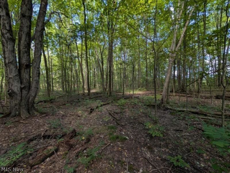 Drake Stateline Road NE, Burghill, OH 44404 Photo 13