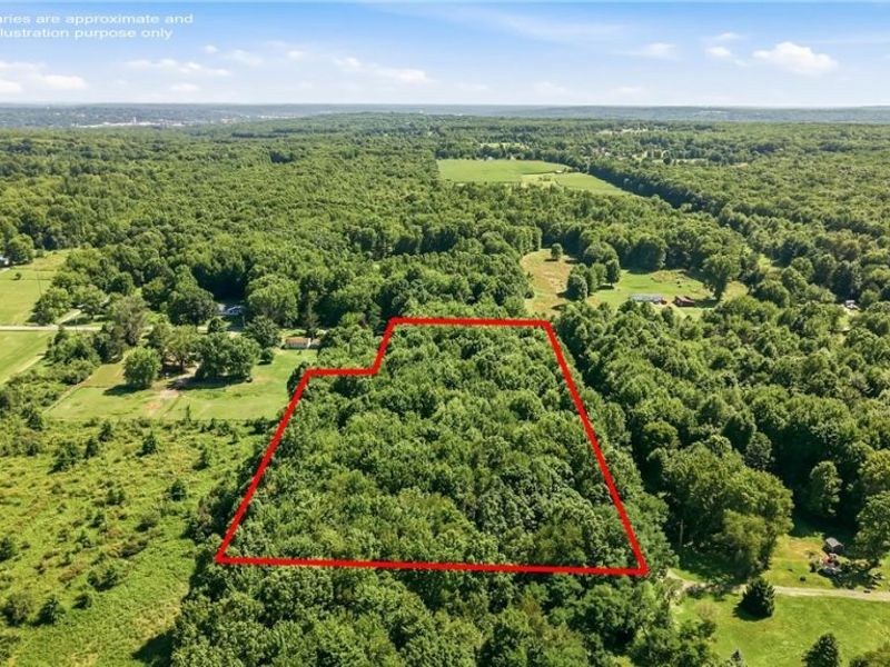 Drake Stateline Road NE, Burghill, OH 44404 Photo 6