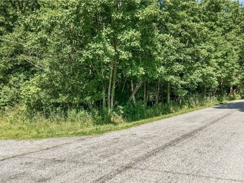 Drake Stateline Road NE, Burghill, OH 44404 Photo 8