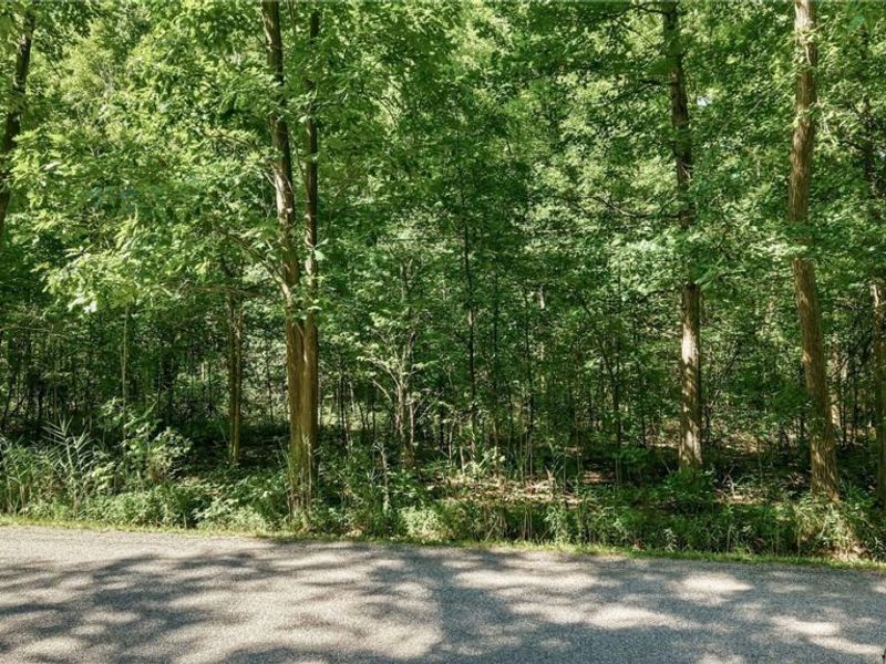 Drake Stateline Road NE, Burghill, OH 44404 Photo 9