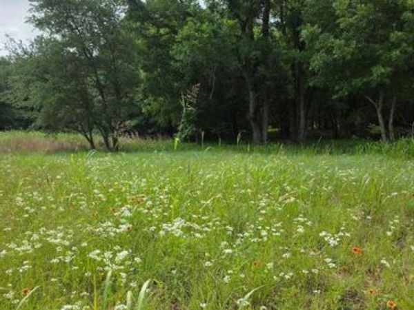 8415 Hollandbush Court, Cleburne, TX 76033