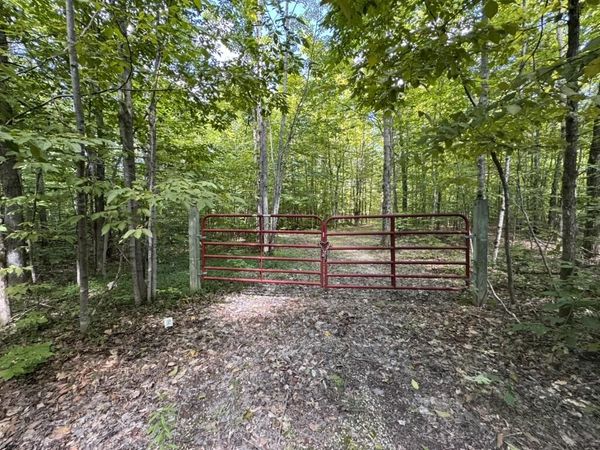 V/L Adams Road, Wolverine, MI 49799