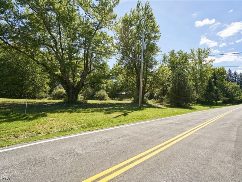 V/L Approx 7.4 Acres Medina Line Road, Bath, OH 44333 Photo 10