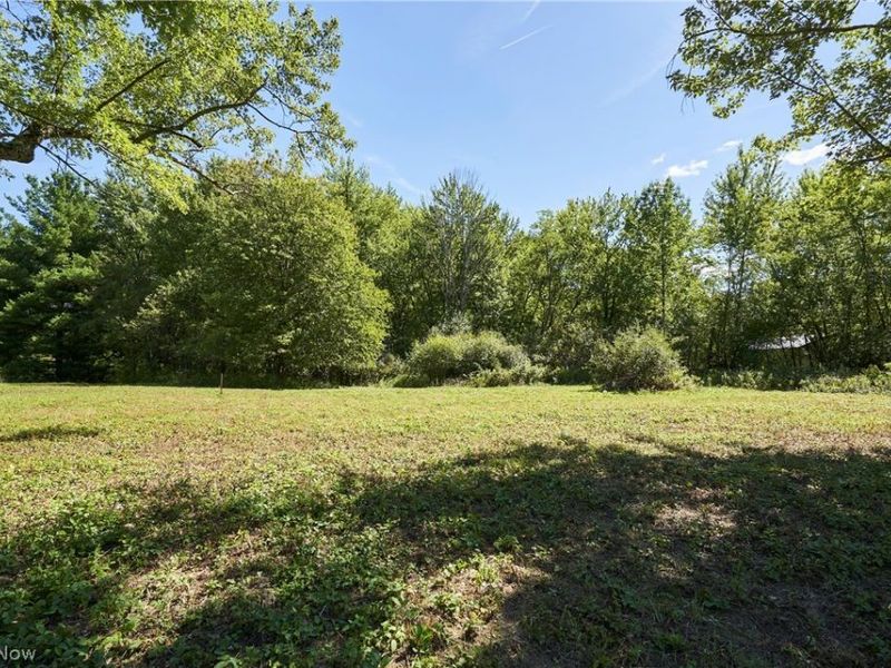 V/L Approx 7.4 Acres Medina Line Road, Bath, OH 44333 Photo 11