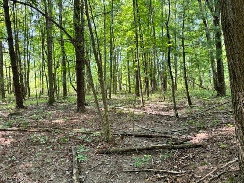 V/L Approx 7.4 Acres Medina Line Road, Bath, OH 44333 Photo 12
