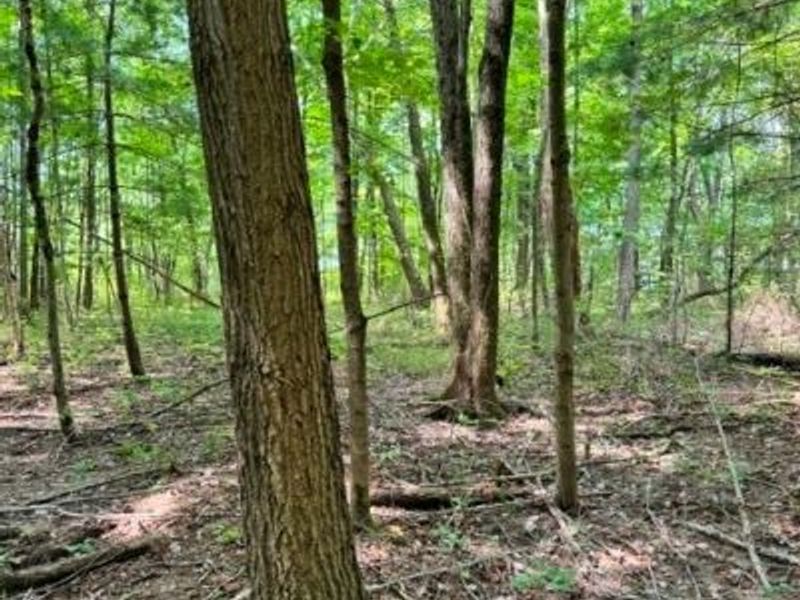 V/L Approx 7.4 Acres Medina Line Road, Bath, OH 44333 Photo 13