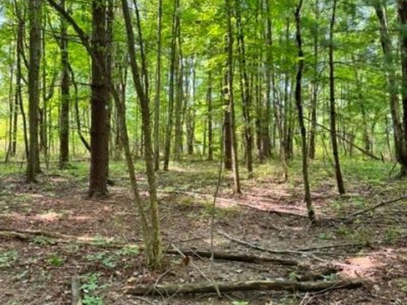 V/L Approx 7.4 Acres Medina Line Road, Bath, OH 44333 Photo 14