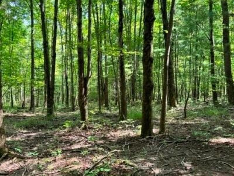 V/L Approx 7.4 Acres Medina Line Road, Bath, OH 44333 Photo 15