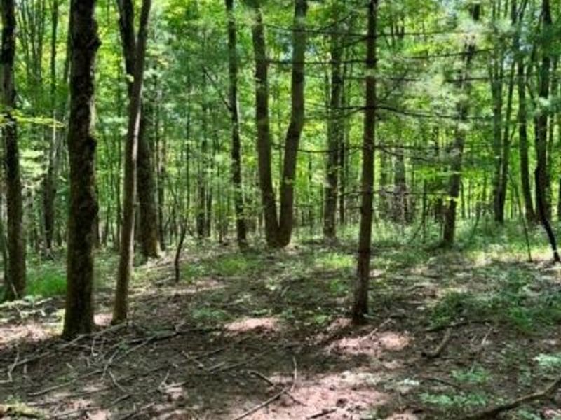 V/L Approx 7.4 Acres Medina Line Road, Bath, OH 44333 Photo 16