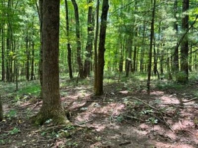 V/L Approx 7.4 Acres Medina Line Road, Bath, OH 44333 Photo 17