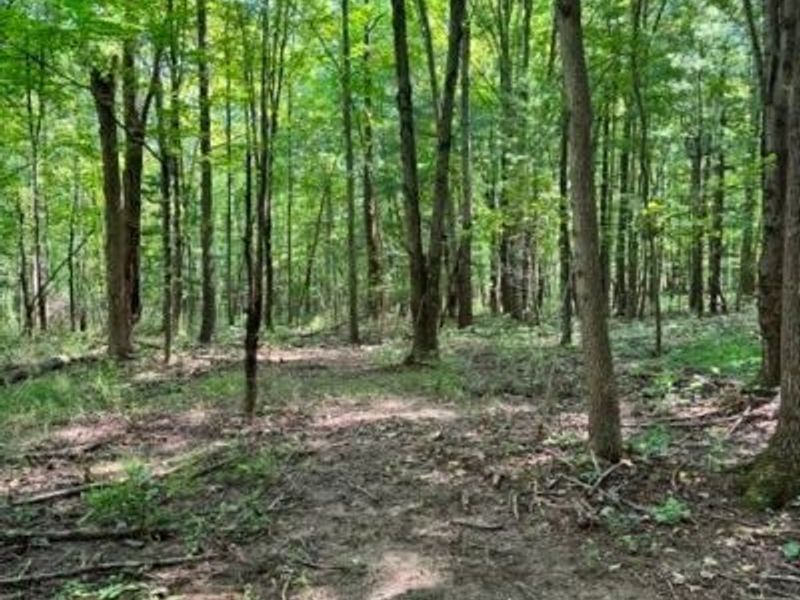 V/L Approx 7.4 Acres Medina Line Road, Bath, OH 44333 Photo 18