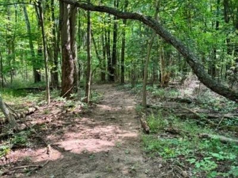 V/L Approx 7.4 Acres Medina Line Road, Bath, OH 44333 Photo 19