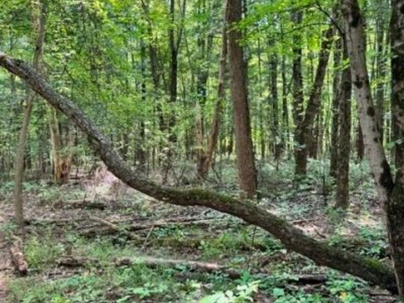 V/L Approx 7.4 Acres Medina Line Road, Bath, OH 44333 Photo 20
