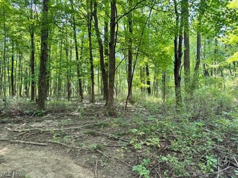 V/L Approx 7.4 Acres Medina Line Road, Bath, OH 44333 Photo 21