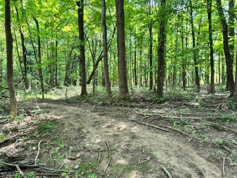 V/L Approx 7.4 Acres Medina Line Road, Bath, OH 44333 Photo 22
