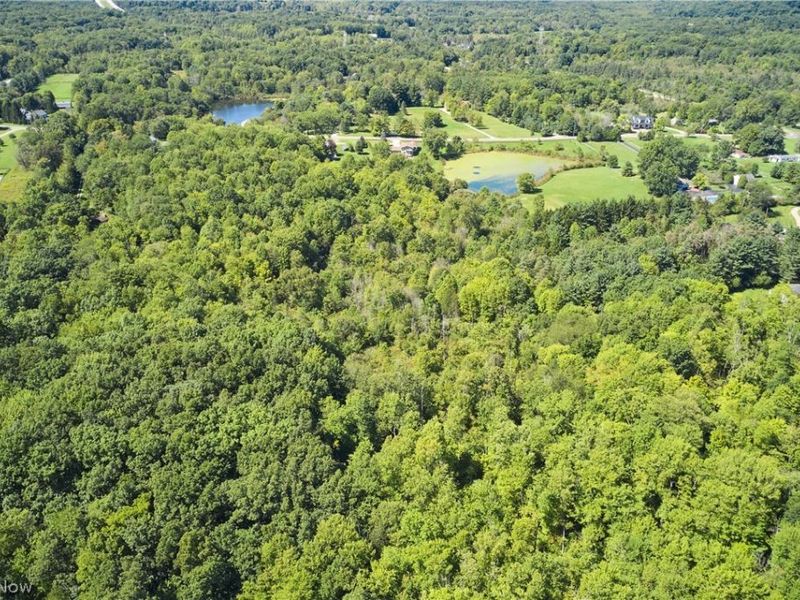 V/L Approx 7.4 Acres Medina Line Road, Bath, OH 44333 Photo 5