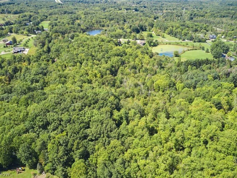 V/L Approx 7.4 Acres Medina Line Road, Bath, OH 44333 Photo 6