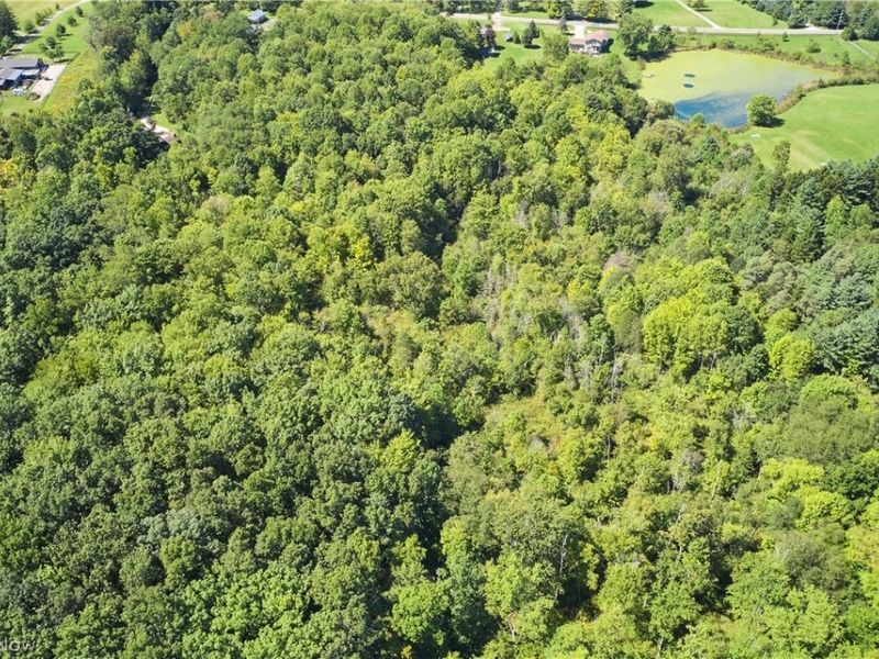 V/L Approx 7.4 Acres Medina Line Road, Bath, OH 44333 Photo 7