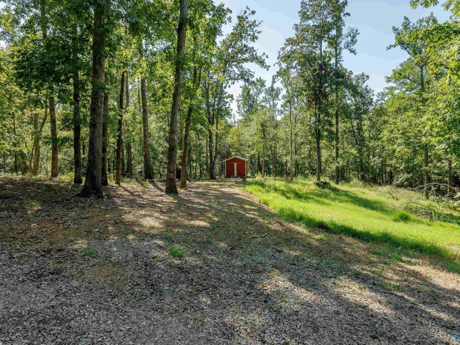 Property Image 24
