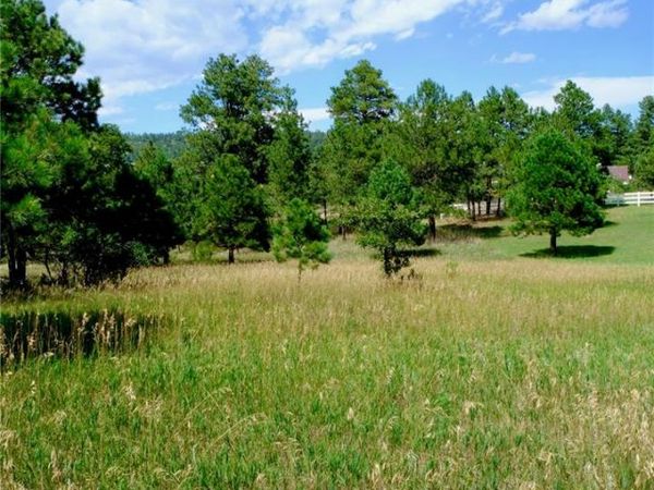 19953 Vista Clara Lane, Monument, CO 80132