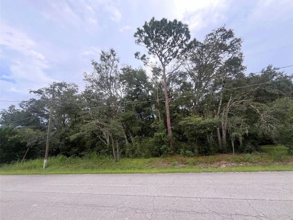 TBD SE 94TH AVENUE , BELLEVIEW, FL 34420