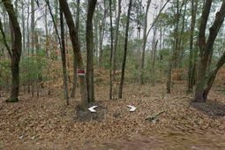 8354 Sugar Hill Road photo 4