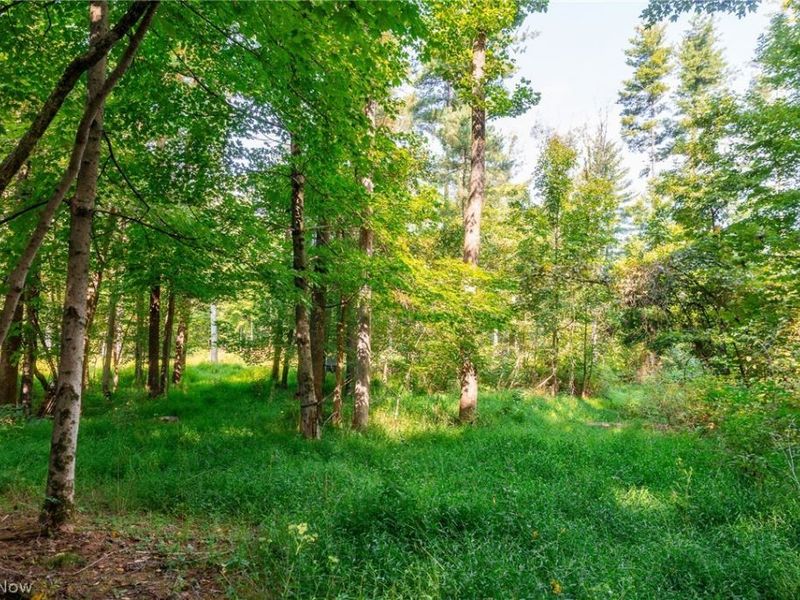 Pumpkin Ridge Road, Quaker City, OH 43773 Photo 10
