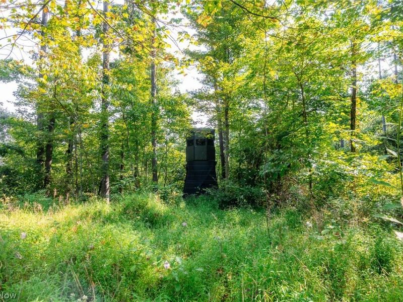 Pumpkin Ridge Road, Quaker City, OH 43773 Photo 11