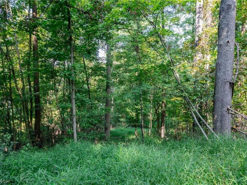 Pumpkin Ridge Road, Quaker City, OH 43773 Photo 12