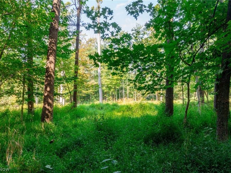 Pumpkin Ridge Road, Quaker City, OH 43773 Photo 15