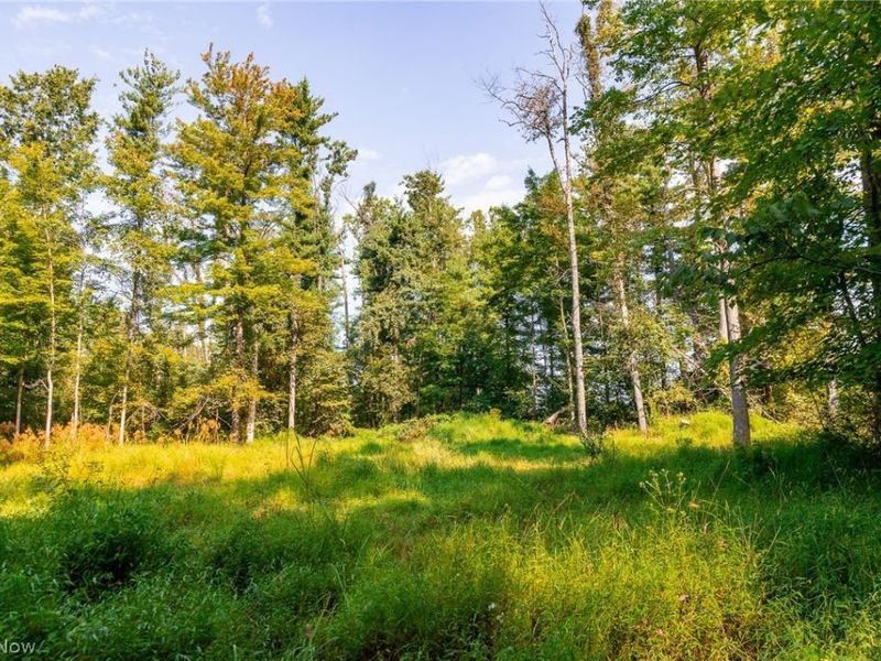 Pumpkin Ridge Road, Quaker City, OH 43773 Photo 16