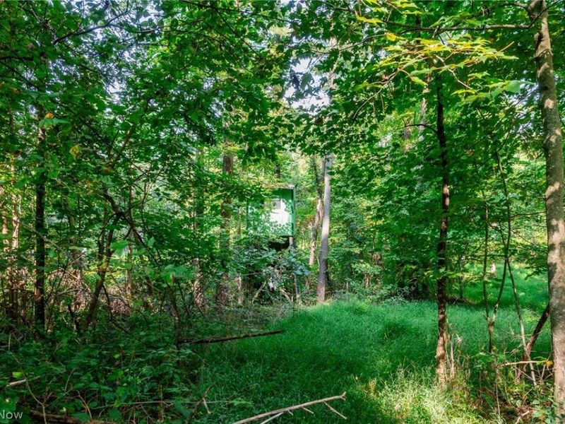 Pumpkin Ridge Road, Quaker City, OH 43773 Photo 17