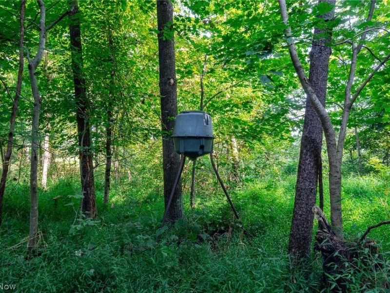 Pumpkin Ridge Road, Quaker City, OH 43773 Photo 18