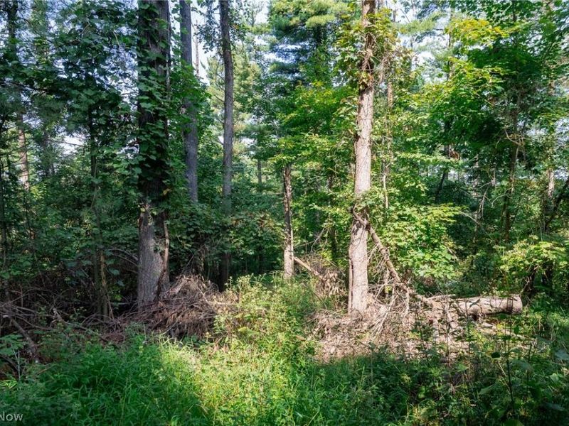 Pumpkin Ridge Road, Quaker City, OH 43773 Photo 19