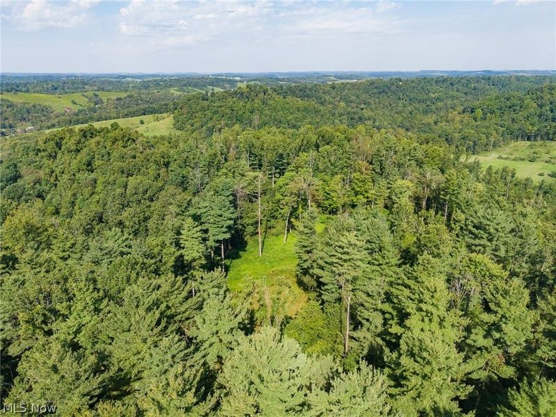 Pumpkin Ridge Road, Quaker City, OH 43773 Photo 2