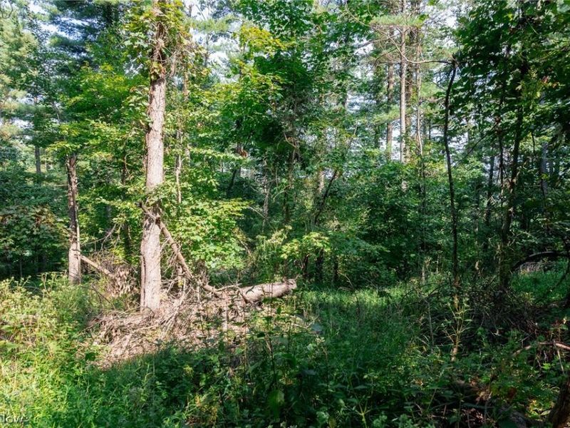 Pumpkin Ridge Road, Quaker City, OH 43773 Photo 20
