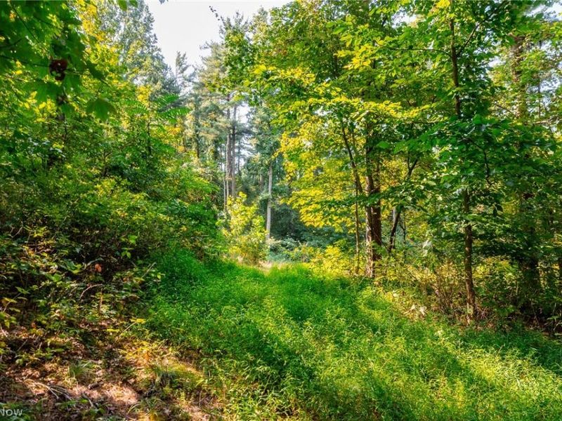 Pumpkin Ridge Road, Quaker City, OH 43773 Photo 21