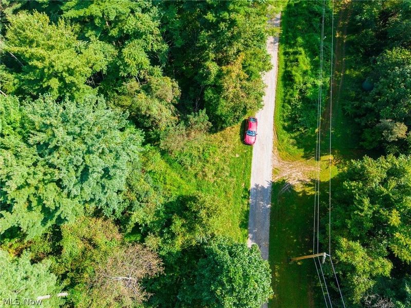 Pumpkin Ridge Road, Quaker City, OH 43773 Photo 22