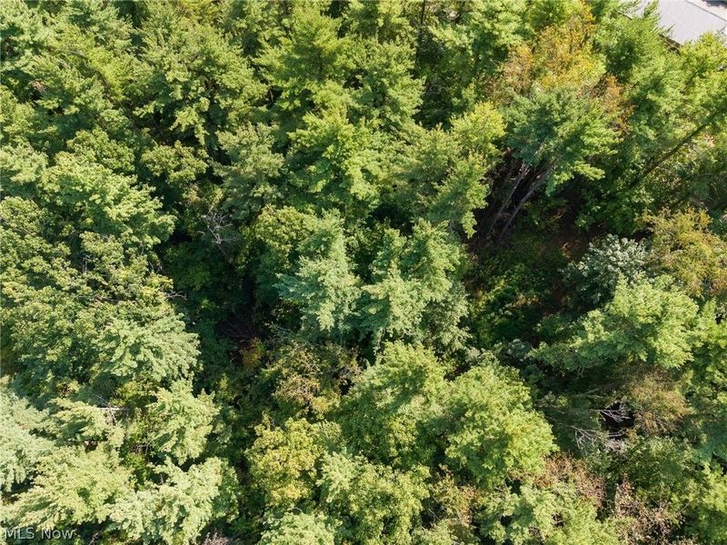 Pumpkin Ridge Road, Quaker City, OH 43773 Photo 23