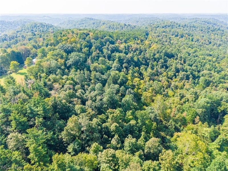 Pumpkin Ridge Road, Quaker City, OH 43773 Photo 24