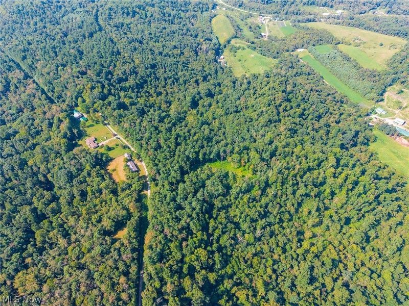 Pumpkin Ridge Road, Quaker City, OH 43773 Photo 28