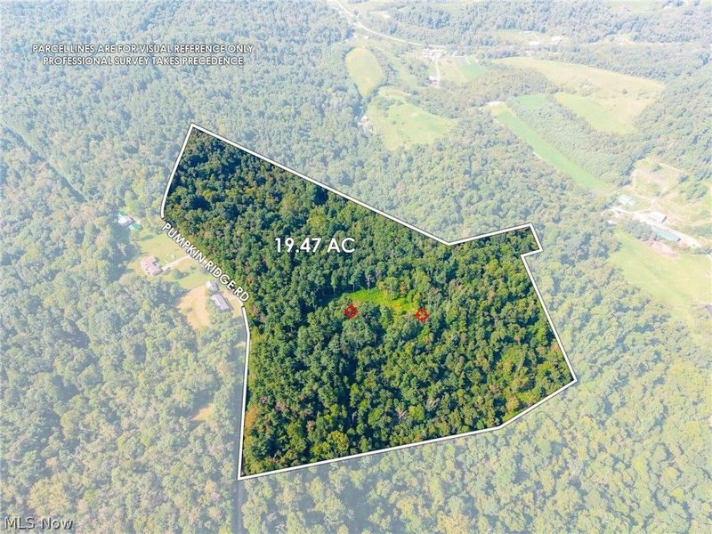 Pumpkin Ridge Road, Quaker City, OH 43773 Photo 3