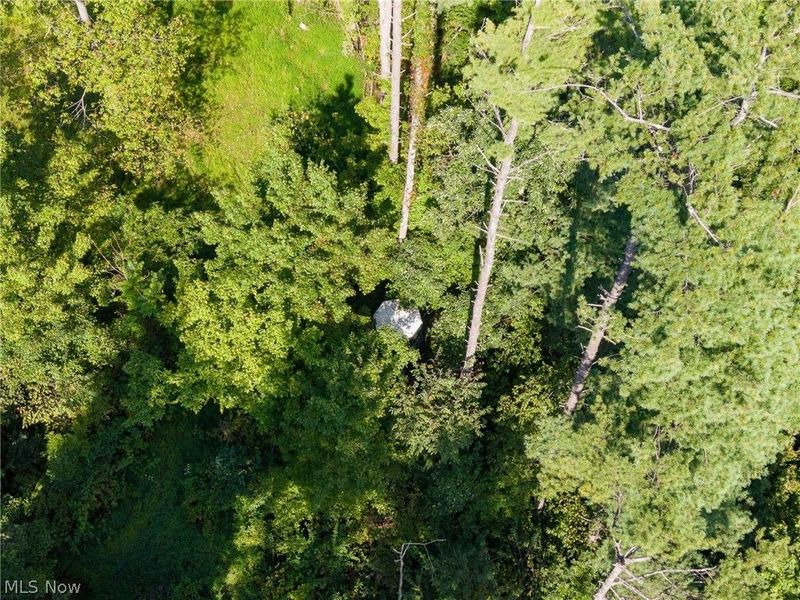 Pumpkin Ridge Road, Quaker City, OH 43773 Photo 30