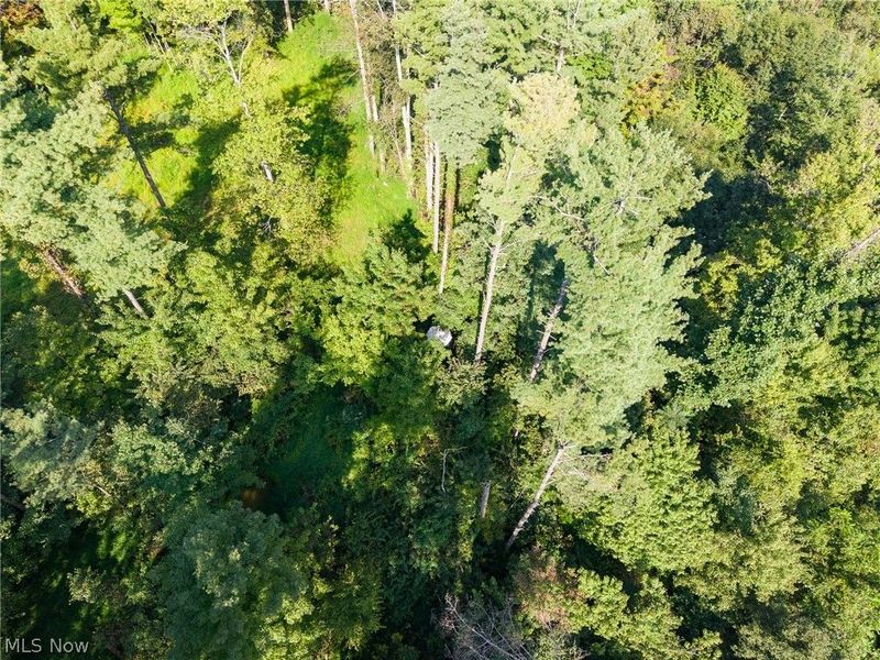 Pumpkin Ridge Road, Quaker City, OH 43773 Photo 31