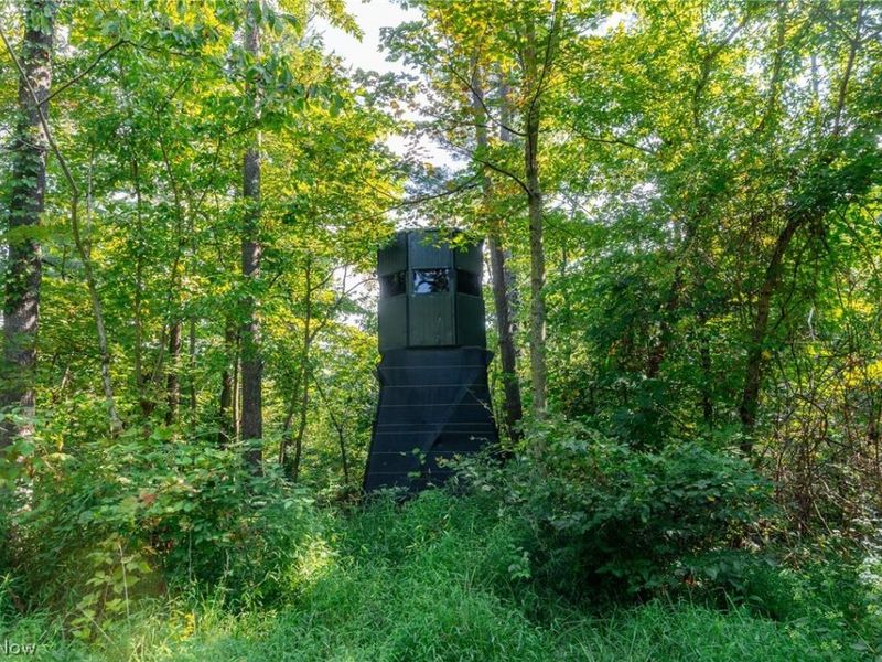 Pumpkin Ridge Road, Quaker City, OH 43773 Photo 4