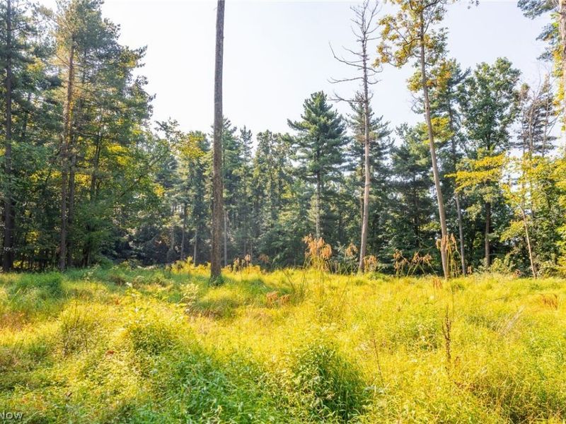 Pumpkin Ridge Road, Quaker City, OH 43773 Photo 5